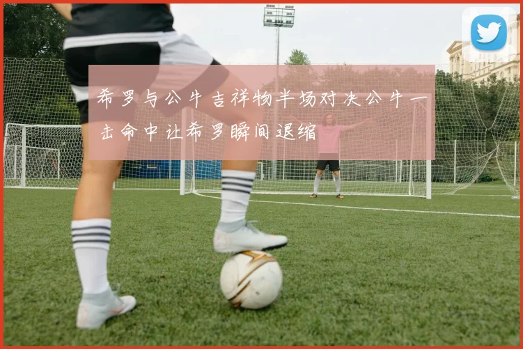希罗与公牛吉祥物半场对决公牛一击命中让希罗瞬间退缩
