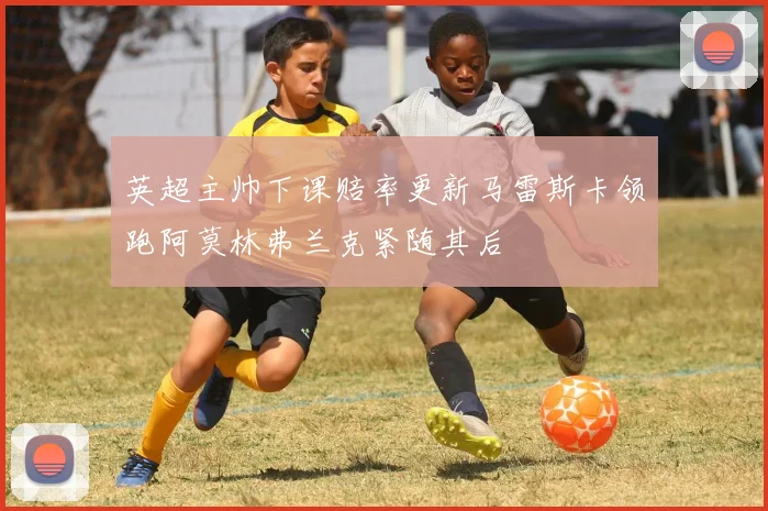 英超主帅下课赔率更新马雷斯卡领跑阿莫林弗兰克紧随其后