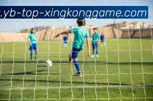 星空体育平台生态图