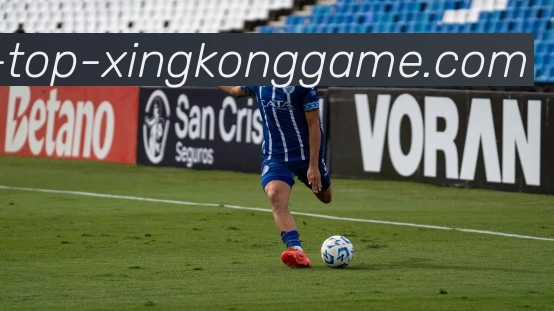 星空体育APP 封面图