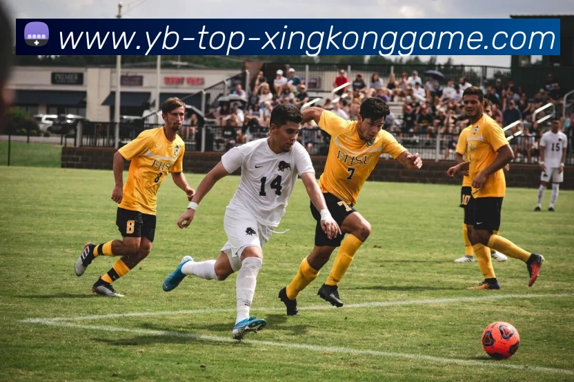 数据防护可视化